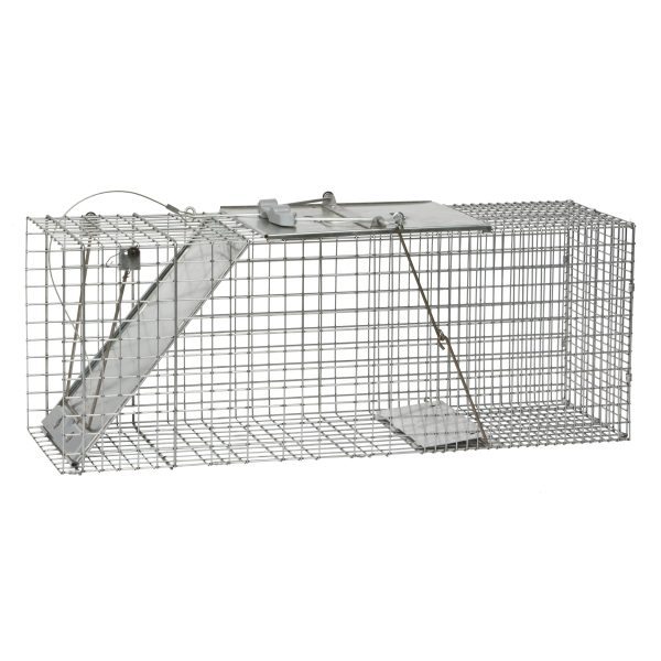 Havahart Large Live Catch Cage Trap For Cats and Raccoons 1 pk Online Hot Sale