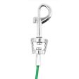 PDQ Green   Silver Vinyl Coated Cable Dog Tie Out Small Fashion